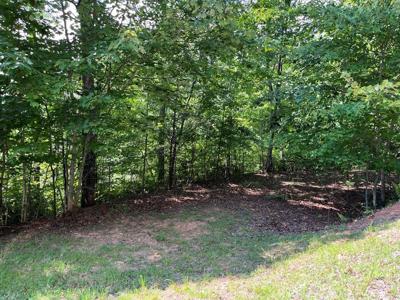 Lot #26 Double Knob Drive E