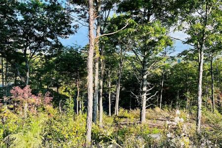 Lot 17 Mountain Laurel Ridge