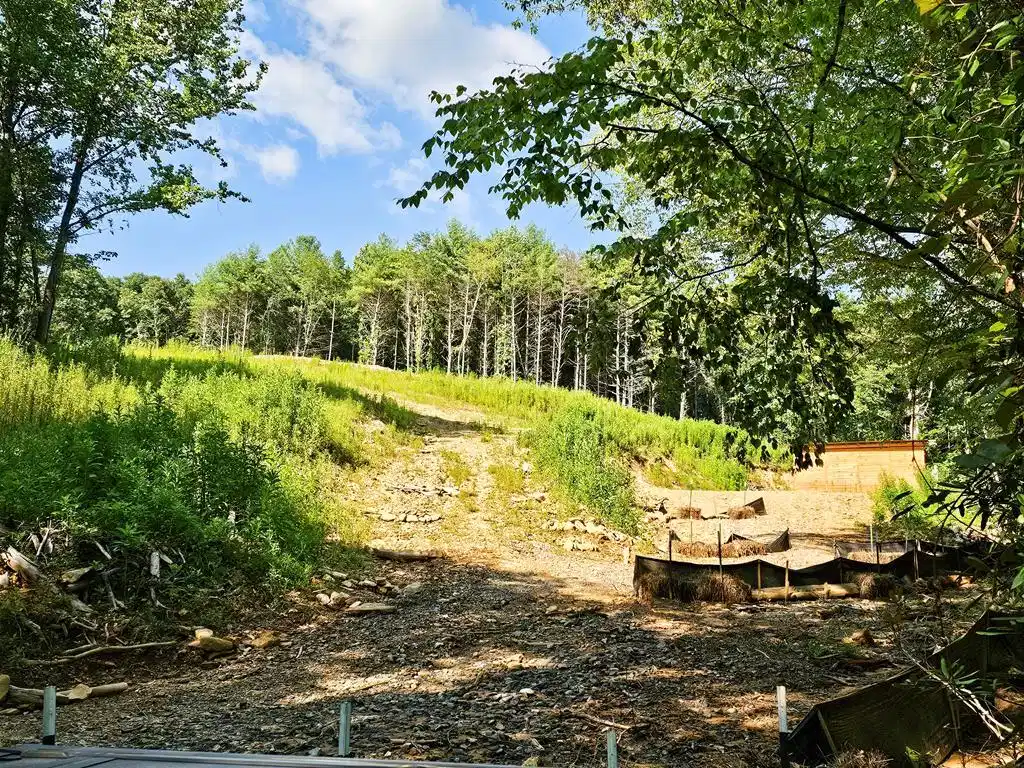 Image 1: Main View