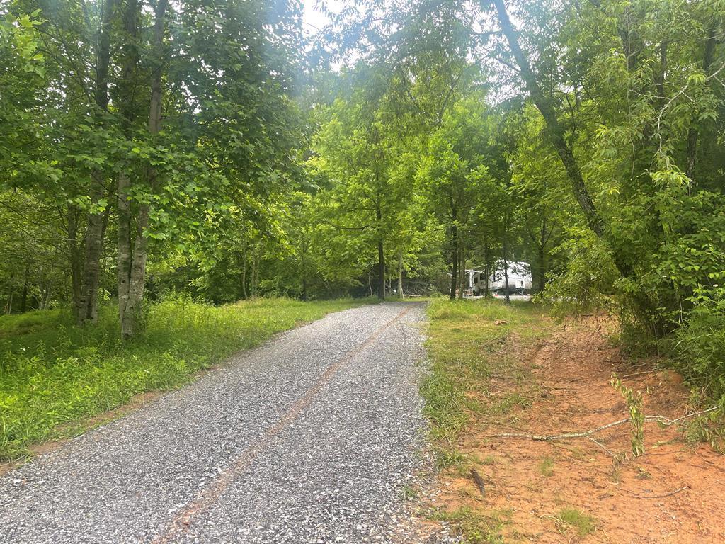 Image 2: View looking down existing Driveway