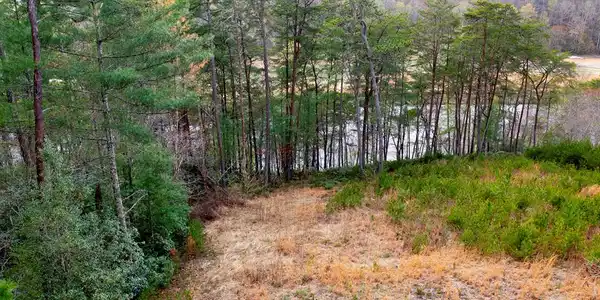 Mountain Watch Lane