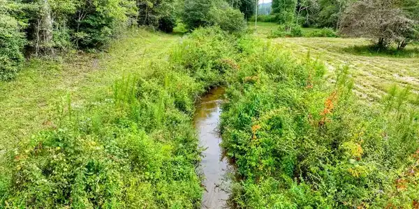 34.51 AC Weaver Creek Road