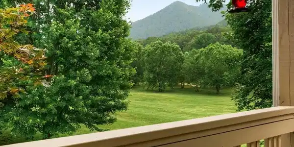 115 Country Club View