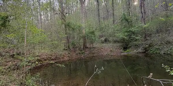 Image 4: Pond