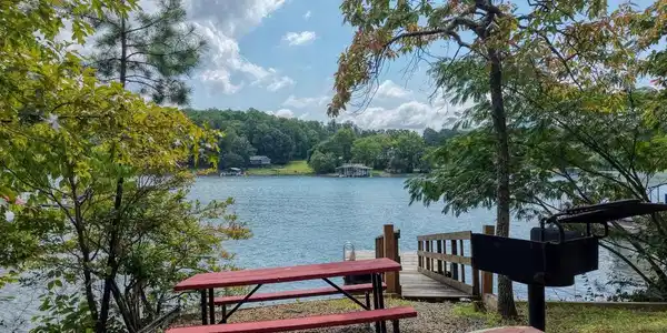 Image 3: Grill and Picnic Available, Grill and Picnic Available at the swim dock.