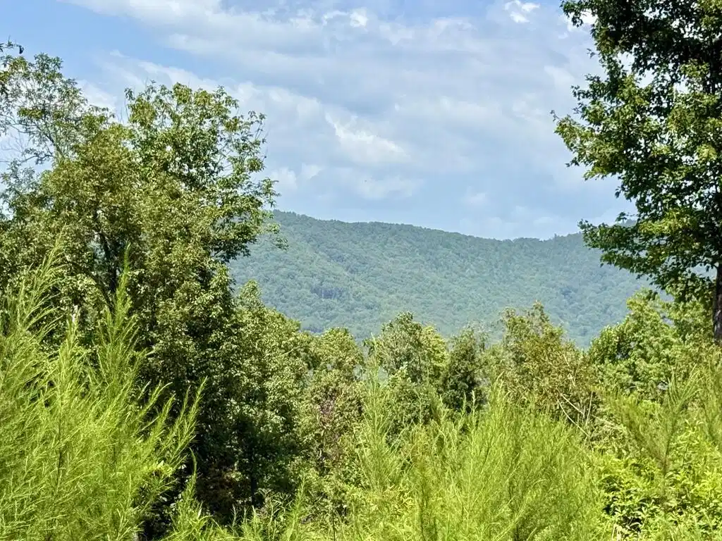 Image 1: Main View