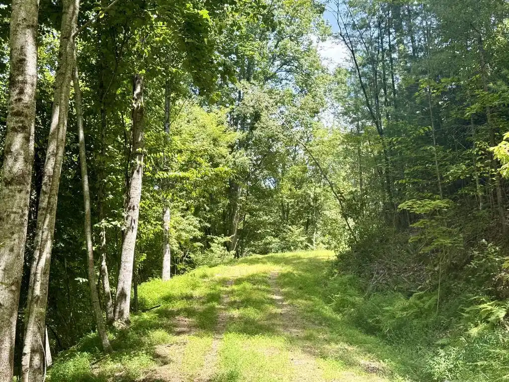 Image 1: Main View