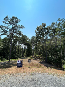 LT 96 Deep Springs Trail