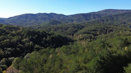 LT 16 Skyline Drive