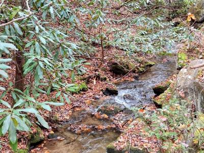 135.49ac Webb Creek Road