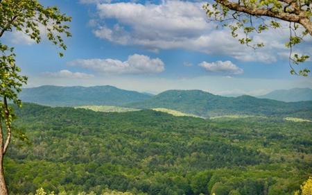 Lot 1 Scouts Overlook