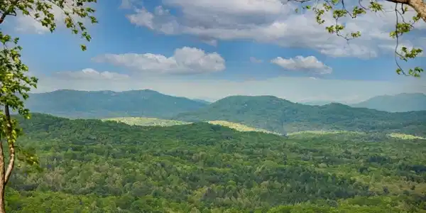 Lot 1 Scouts Overlook
