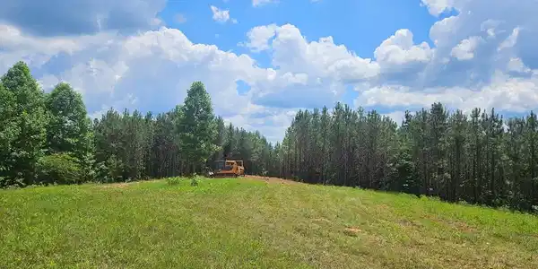 2 Young Loop