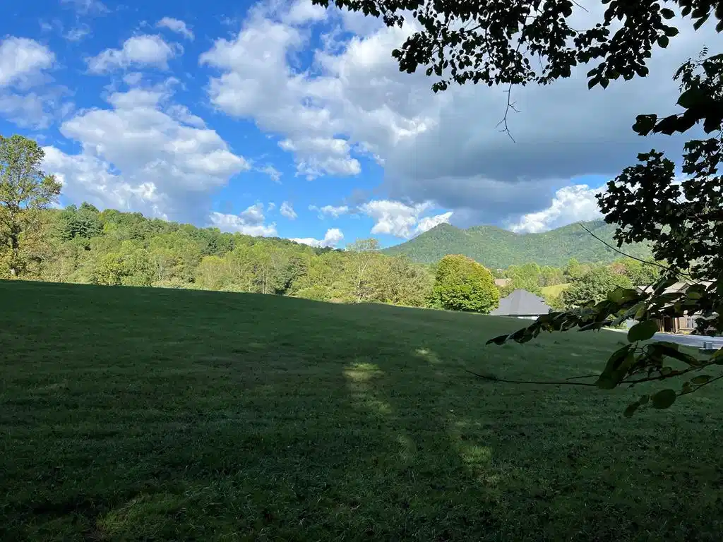 Image 1: Main View