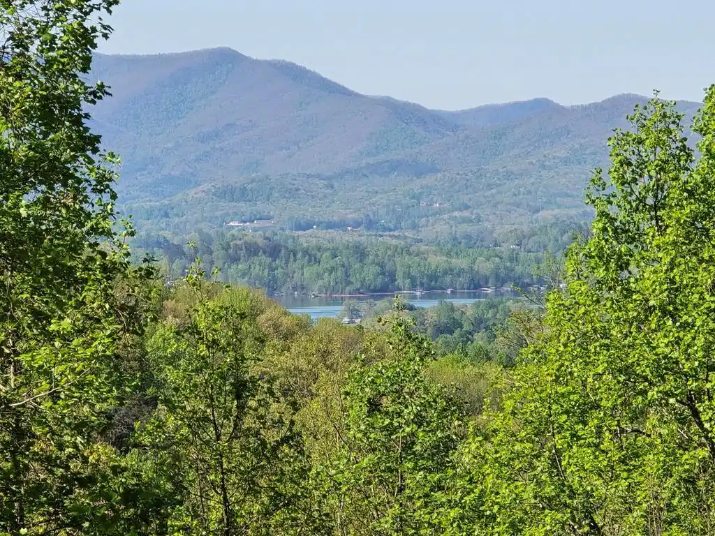 Image 1: Main View