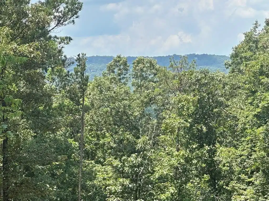 Image 1: Main View
