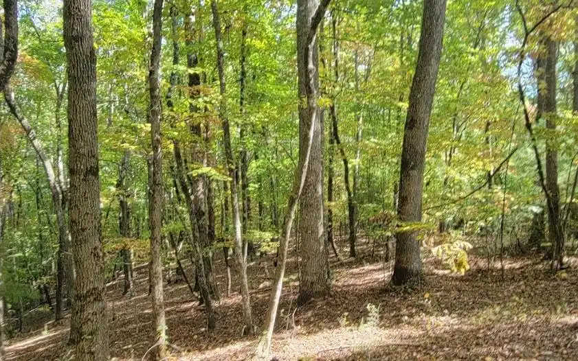 Image 1: Main View