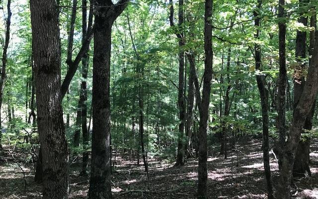 Image 2: Additional View