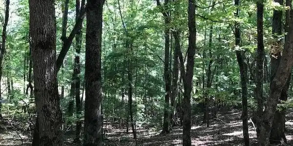 Image 2: Additional View