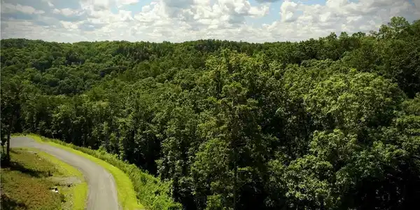 79 River Overlook Lane S