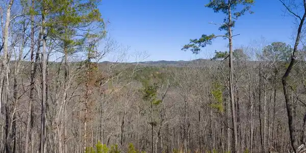 Lot 285 Anglers Ridge Road