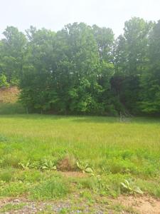 Lot 67 Hillside
