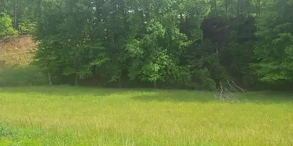 Lot 67 Hillside