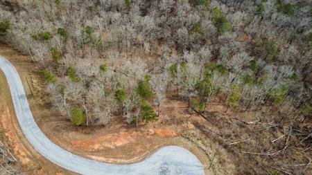 Lot 43 Bucktail Way