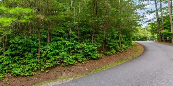 Lot 9 Laurel Creek Trail