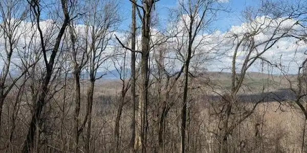 Lot 190 Hawks Nest Court