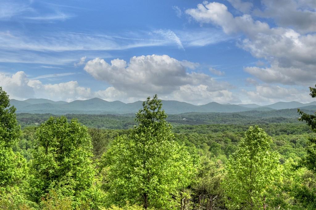 Image 2: view