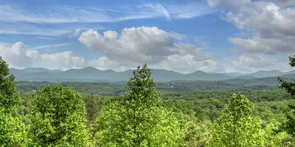 Image 2: view