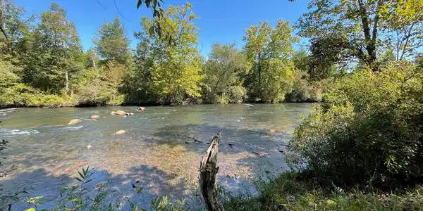 Image 4: Additional View