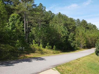 36 Loftis Mountain Way