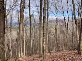 Hickory Trace