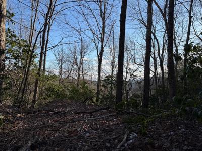 Lot 43 Laurel Lane