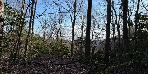 Lot 43 Laurel Lane