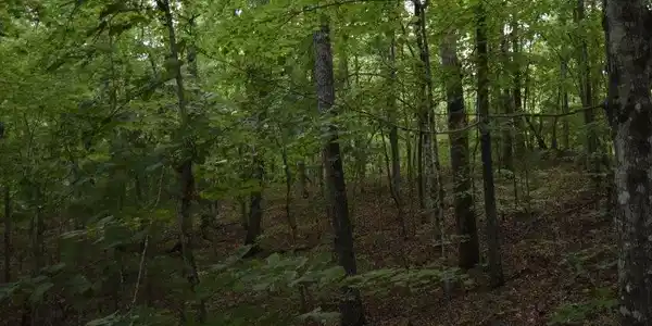 Lot 15 Smoky Mtn Ridge