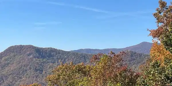 Lot 9 Black Bear Trail