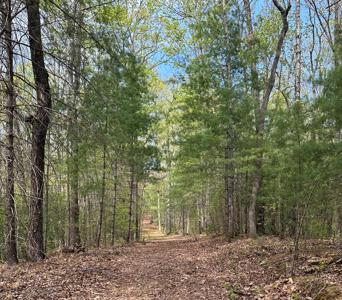 Lot 20 Big Ben Road