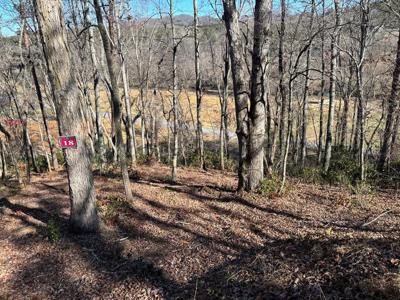 Lot 18 Brasstown Trails