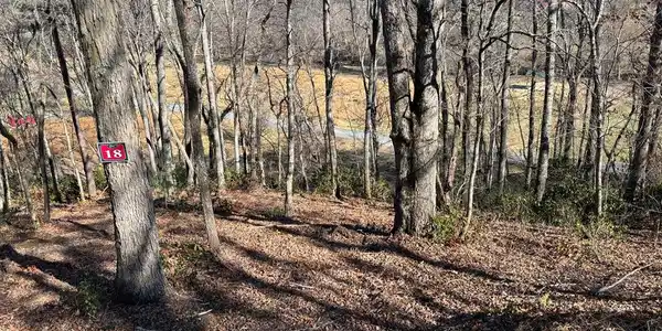 Lot 18 Brasstown Trails