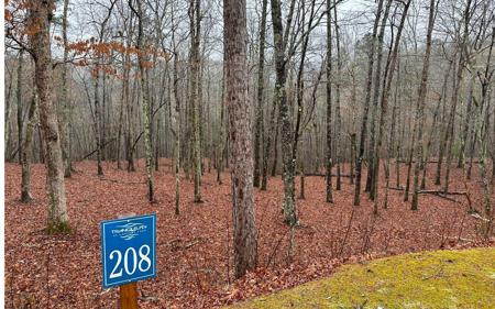 Lt 208 Tranquility @ Carters Lake