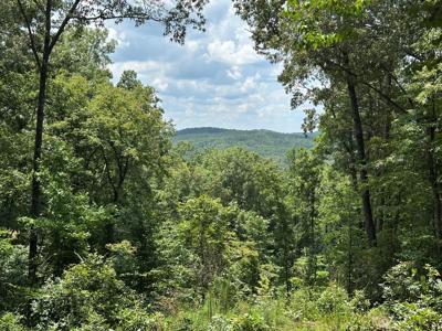 Lot 314 Pebble Trace
