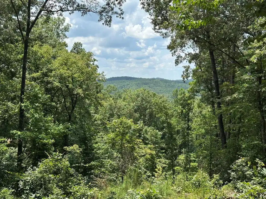 Image 1: Main View
