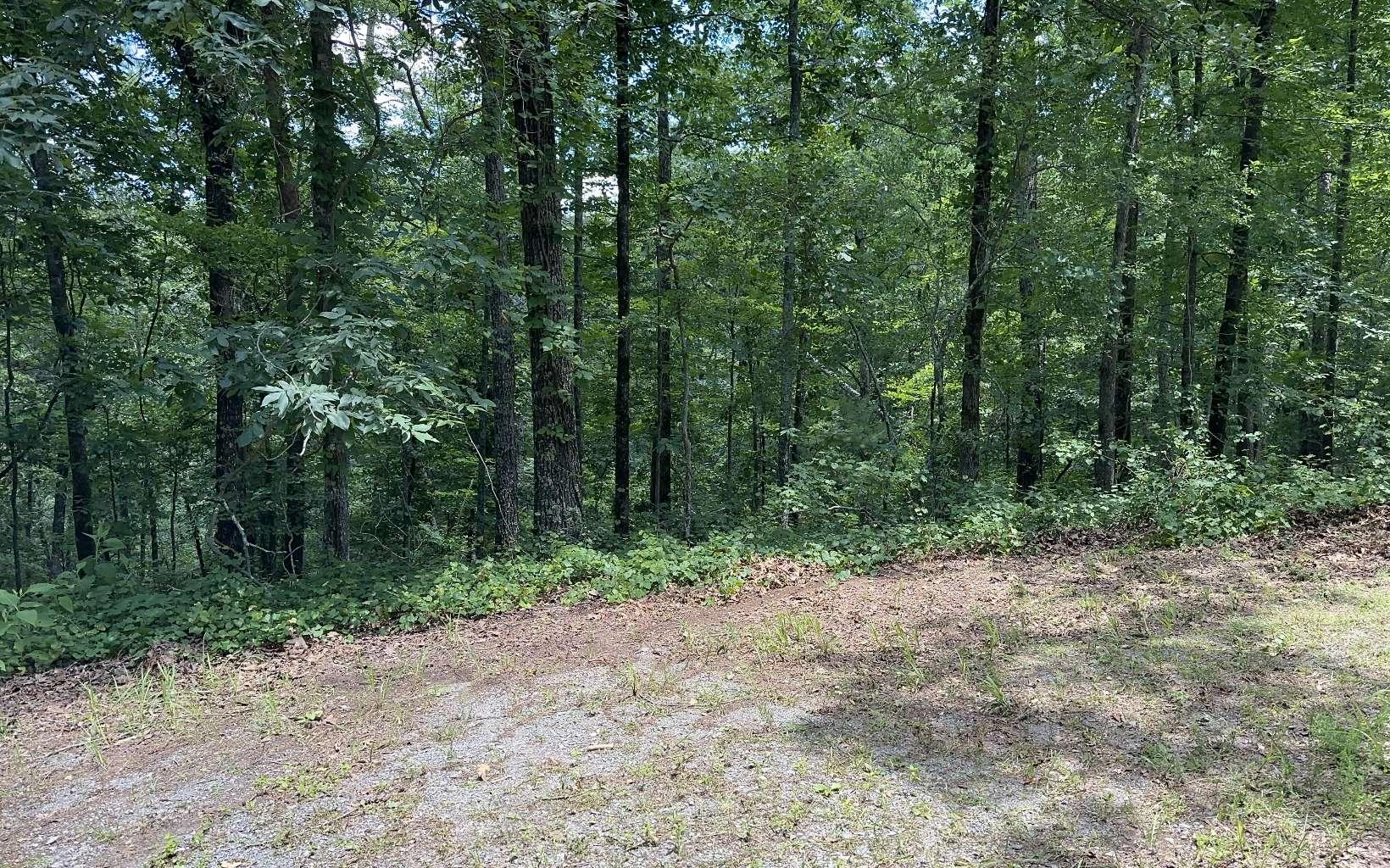Image 2: Additional View