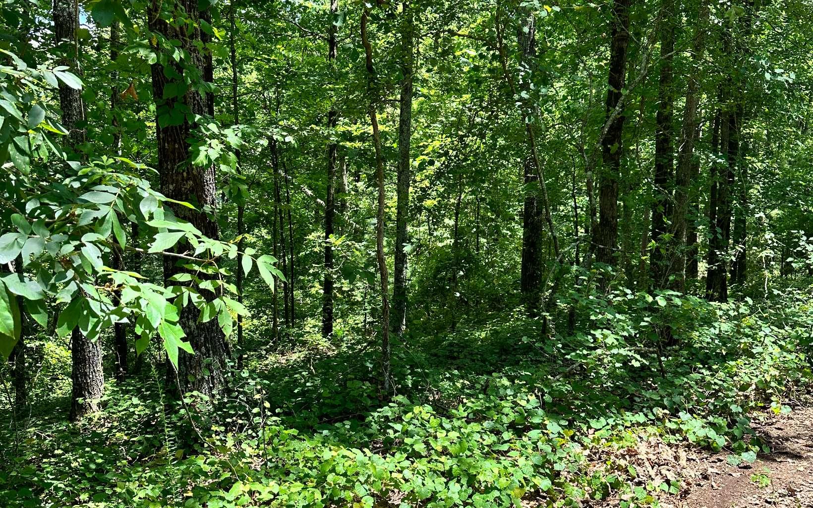 Image 4: Additional View