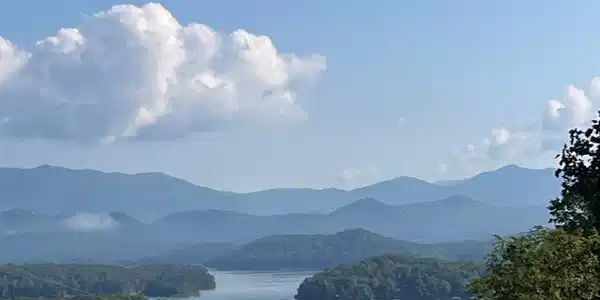 Lot 12 Forest View Drive