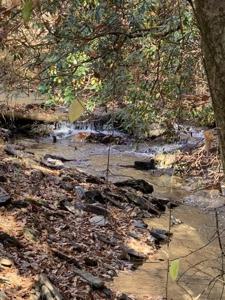 Lot 95 Cedar Road