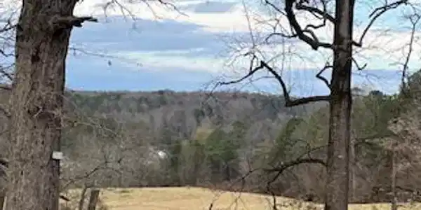 Julius Bridge Road